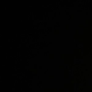 Meet your Posher, Jalen